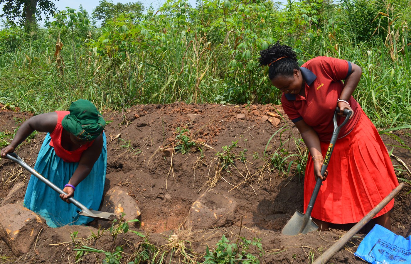 Climate-smart agriculture work