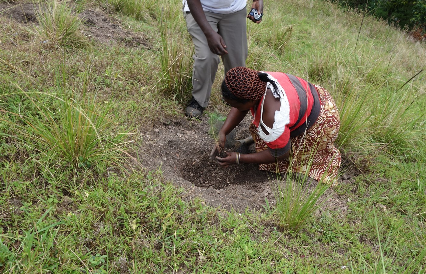 Community tree planting and environmental work
